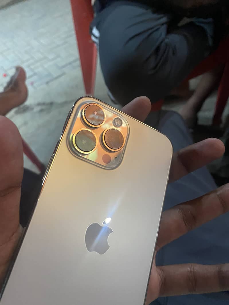 Apple iPhone 13 Pro Max 1