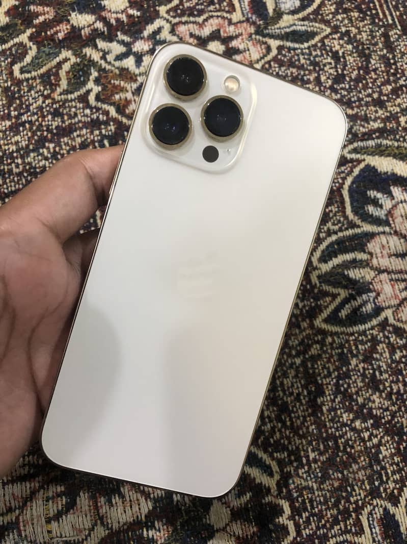Apple iPhone 13 Pro Max 1