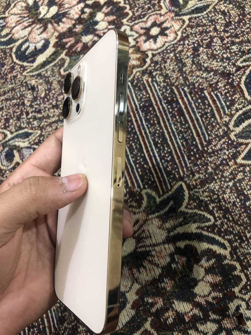 Apple iPhone 13 Pro Max 2