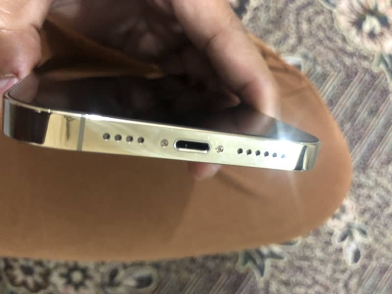Apple iPhone 13 Pro Max 3