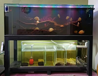Aquarium