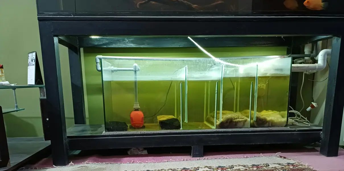 Aquarium — photo 2