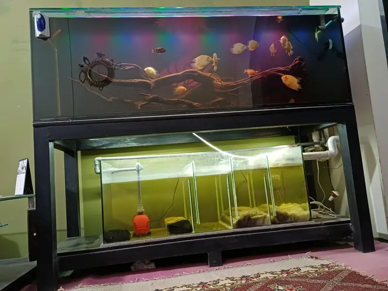 Aquarium — photo 3