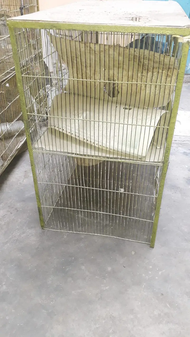 Parrot Cage For sell — photo 3