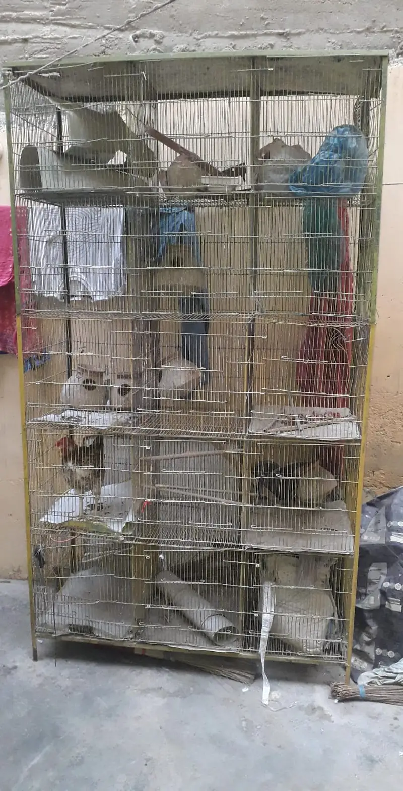 Parrot Cage For sell — photo 4