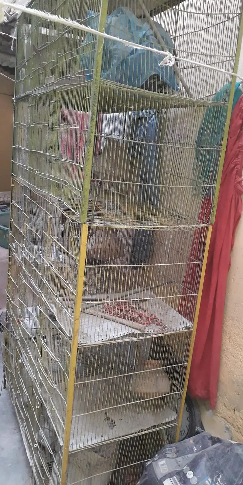 Parrot Cage For sell — photo 6