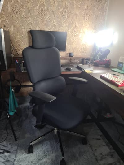 Ergonomic Office/Gaming Chair