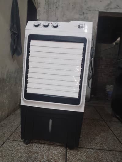 12 volt AC/DC cooler