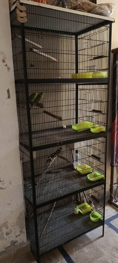 Breeding Cage