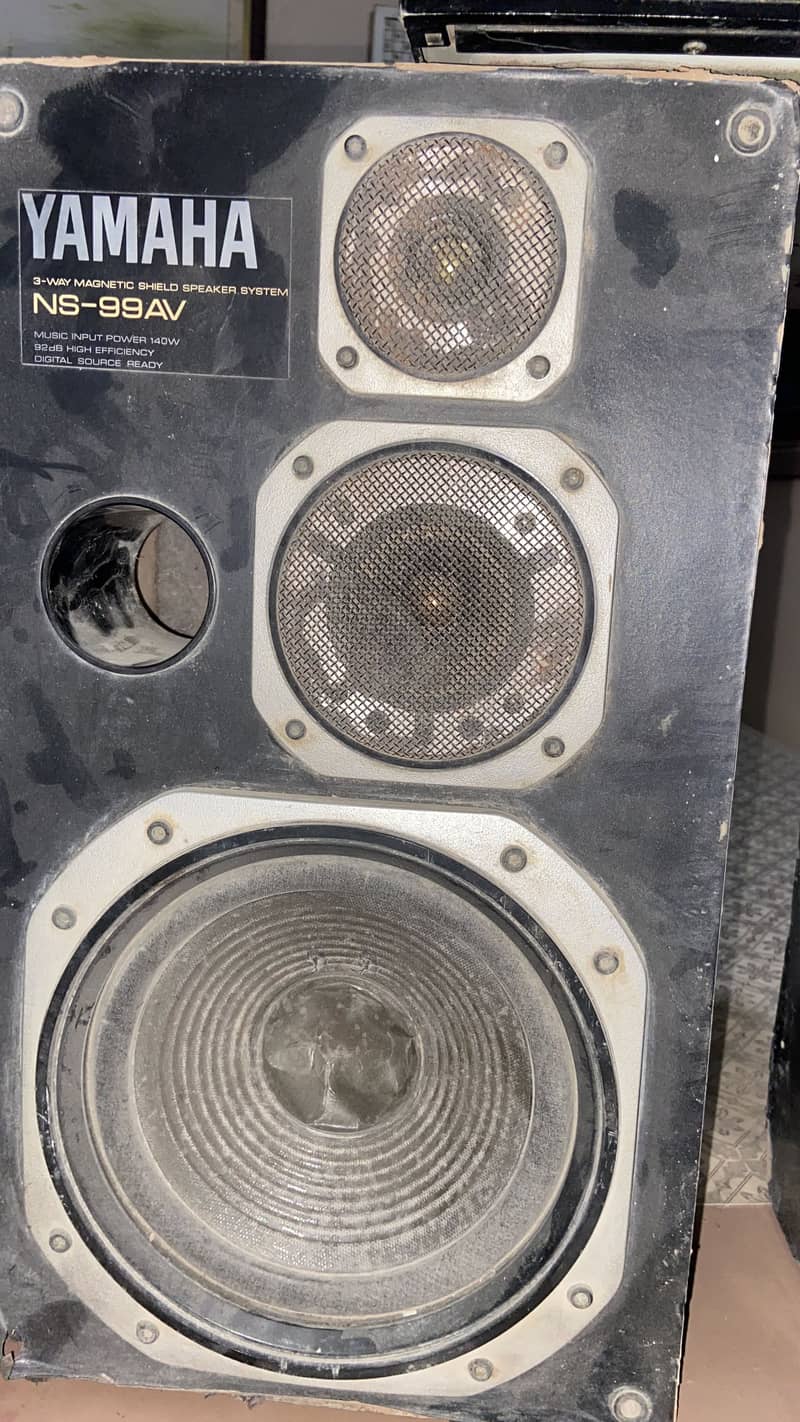 Speaker 2