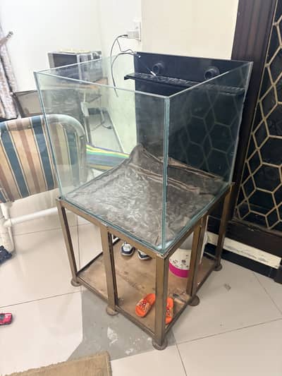 Aquarium Tank (2x2 ft) with Heavy Duty Iron Stand & Overflow Ready