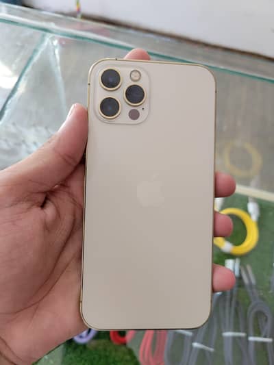 Apple iPhone 12 Pro