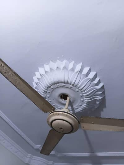 fan old
