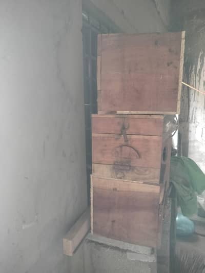 Ringneck parrot box for sale location landhi