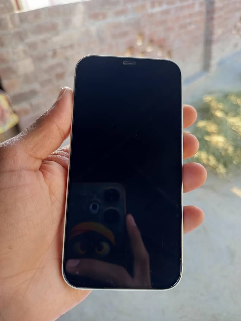 Apple iPhone 12 0