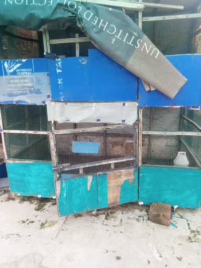 hen cage