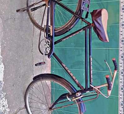 Eagle Cycle 22"