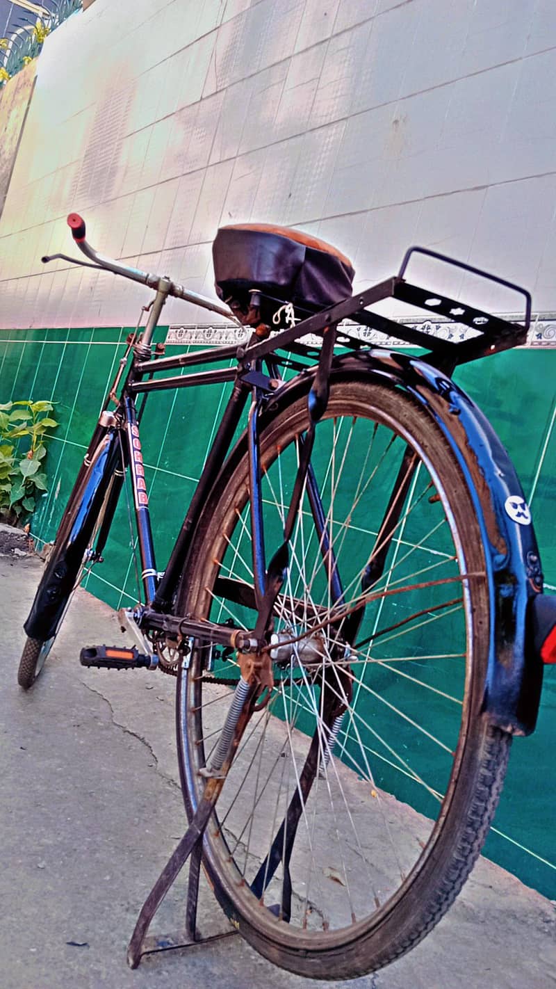 Eagle Cycle 22" 3