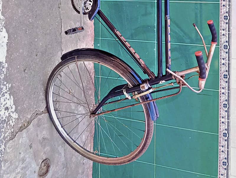 Eagle Cycle 22" 4