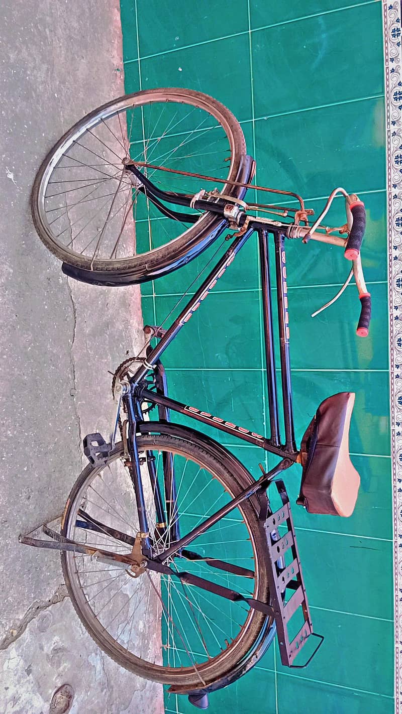Eagle Cycle 22" 5