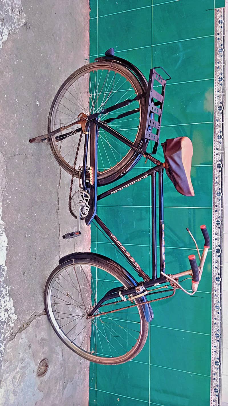 Eagle Cycle 22" 6