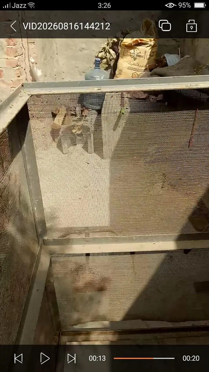 Iron Cage for sale — photo 6