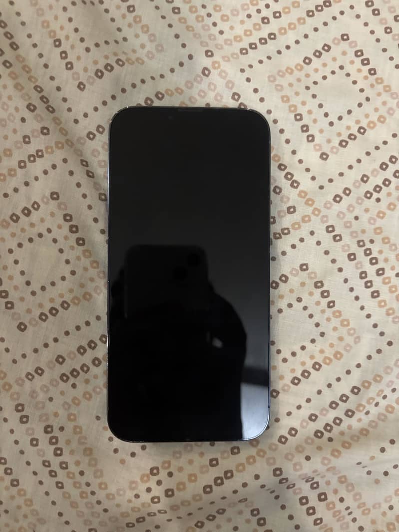 Apple iPhone 13 Pro Max 1