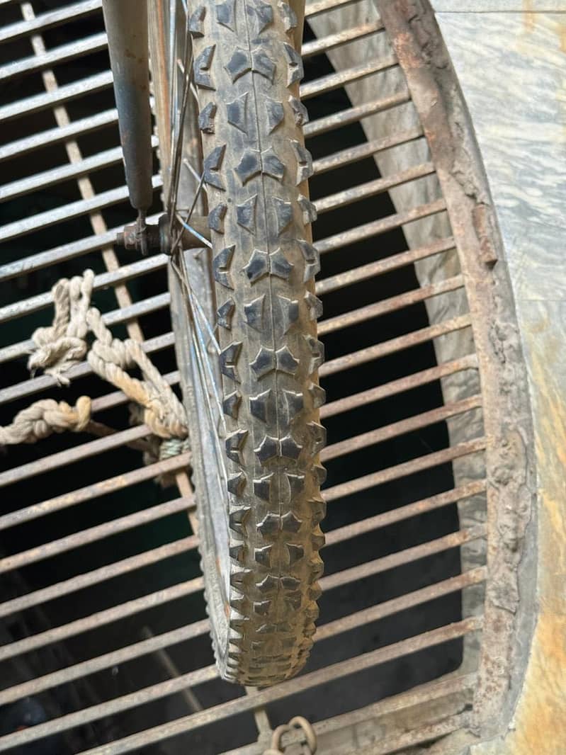 Important cycle 26 size 6