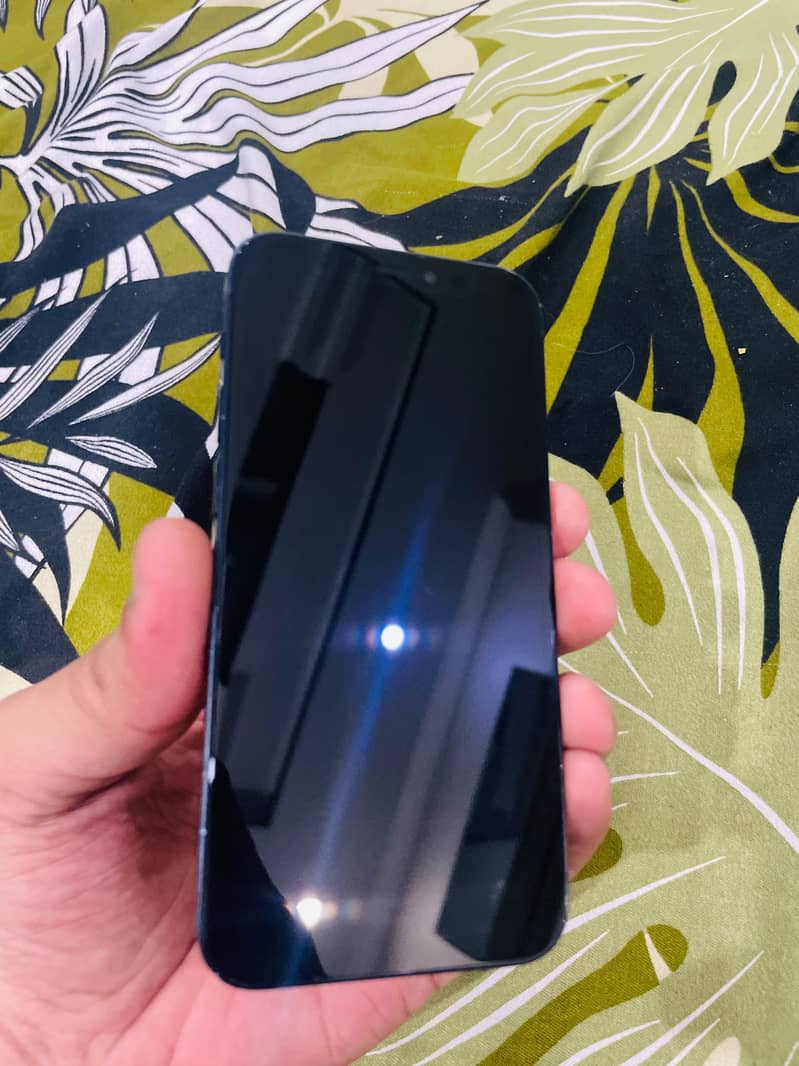 Apple iPhone 12 mini 1