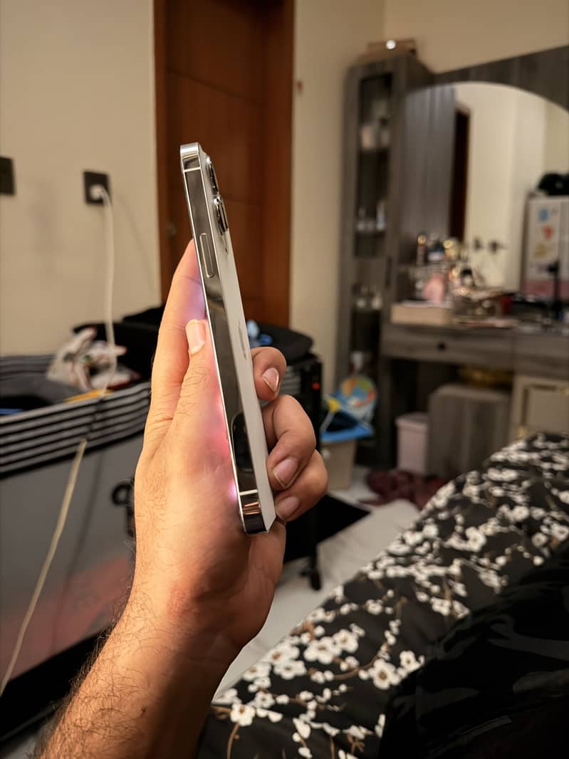 Apple iPhone 13 Pro Max 2