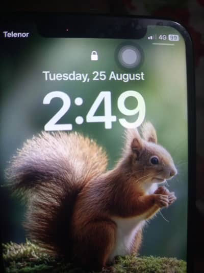 iphon x 256gb sim chalti h back camra nai chal raha