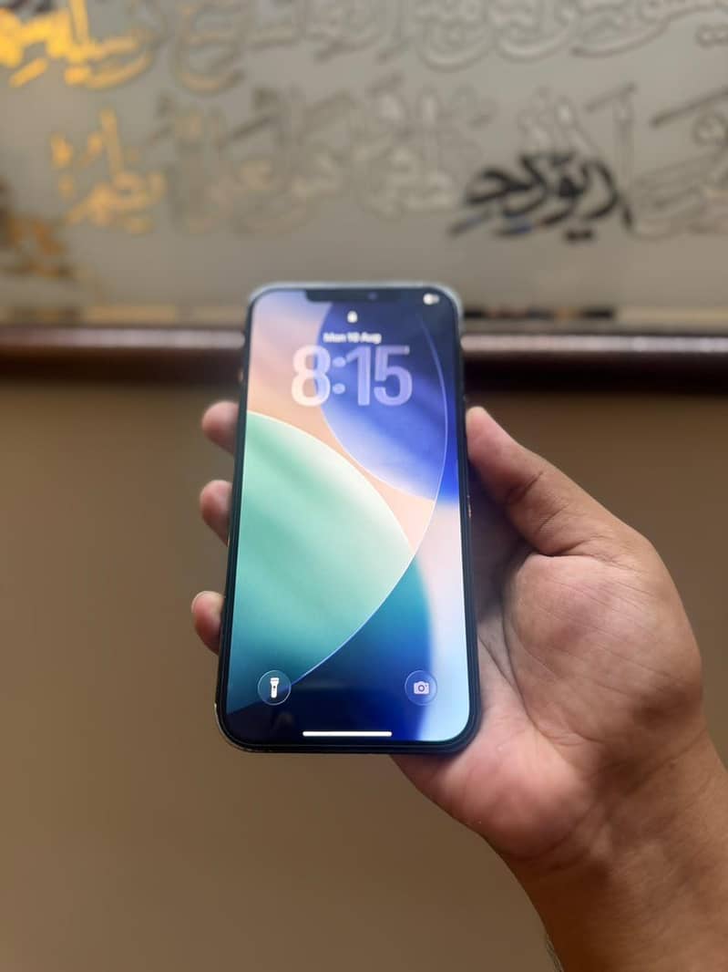 Apple iPhone 12 Pro Max 4