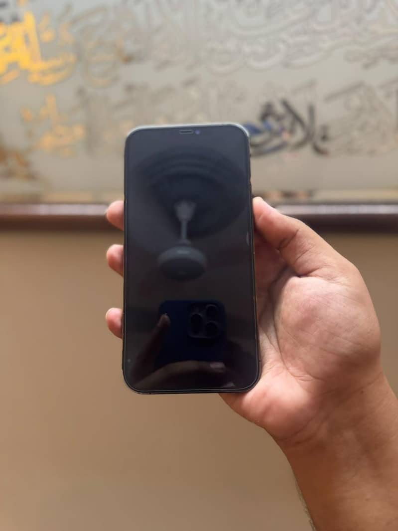 Apple iPhone 12 Pro Max 5