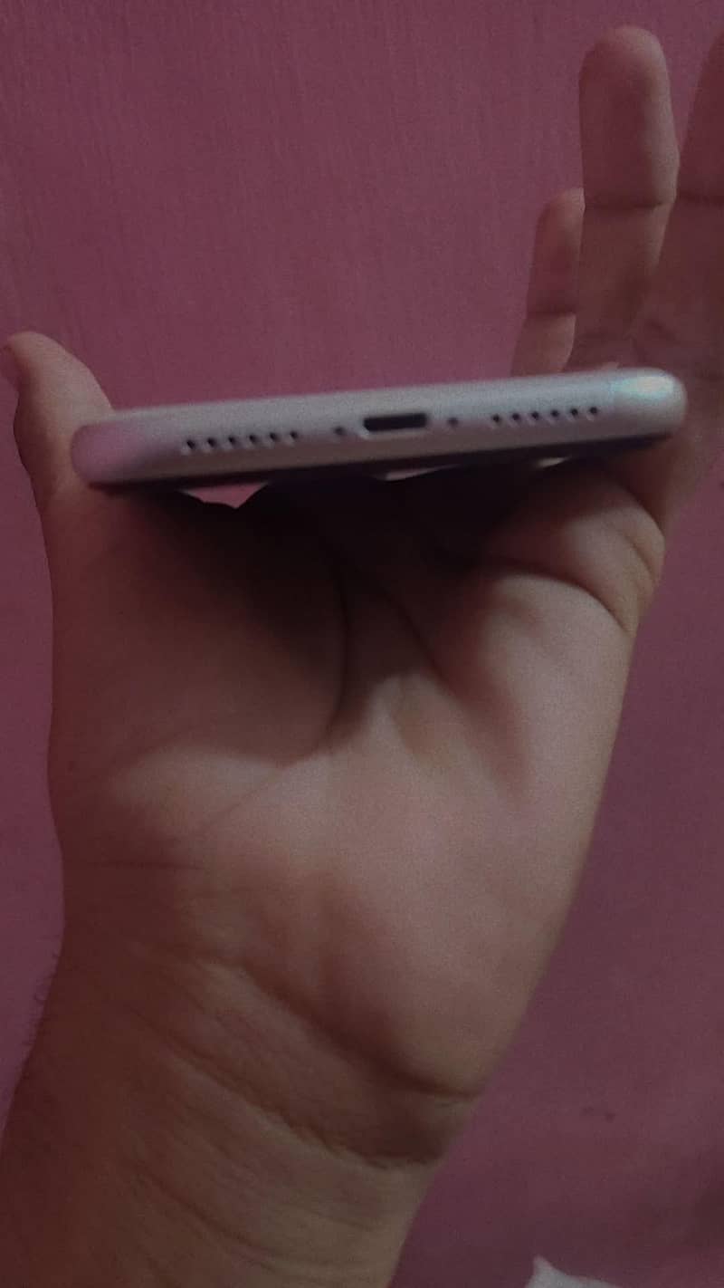 Apple iPhone 11 2