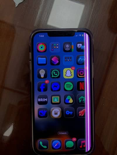 12 pro max panel