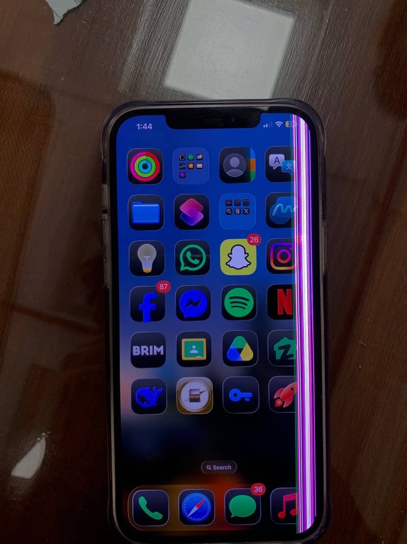 12 pro max panel 0