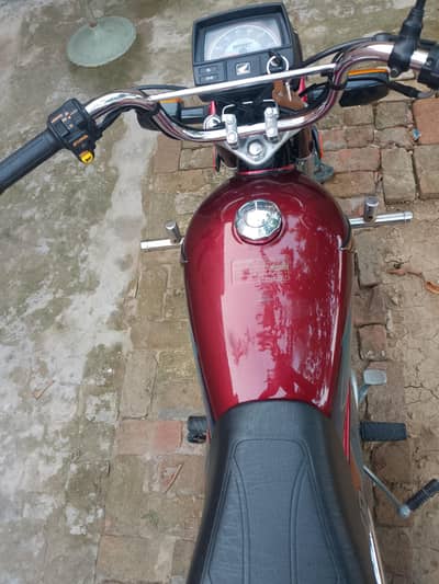 03154310726 WhatsApp