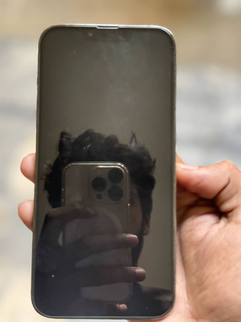 Apple iPhone 13 Pro Max 0