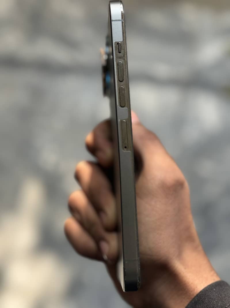 Apple iPhone 13 Pro Max 1