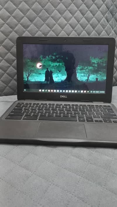 dell Chromebook 3100 (touchscreen)