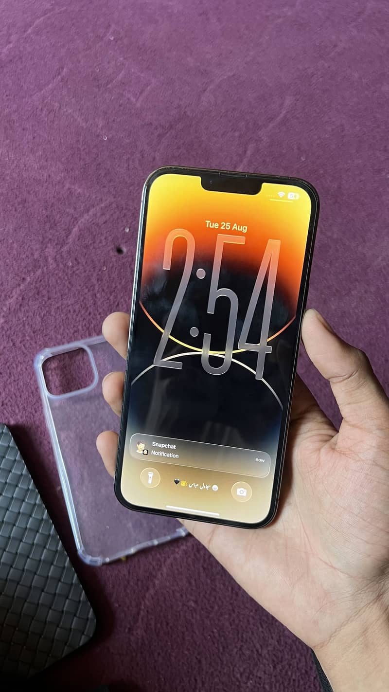 Apple iPhone 13 Pro Max 2