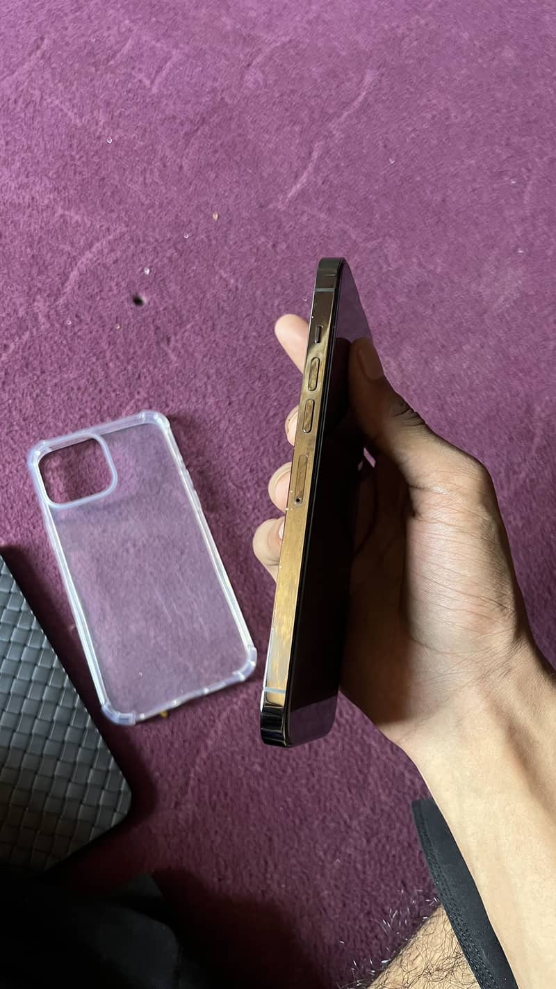 Apple iPhone 13 Pro Max 3