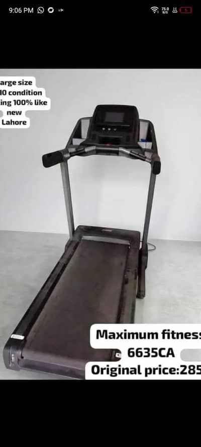 Maximum fitness 6635CCA LARGE Size