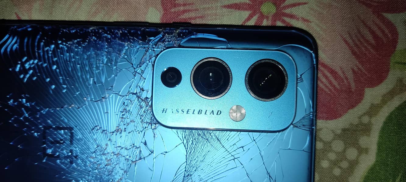 One Plus 9/12+12/256 4
