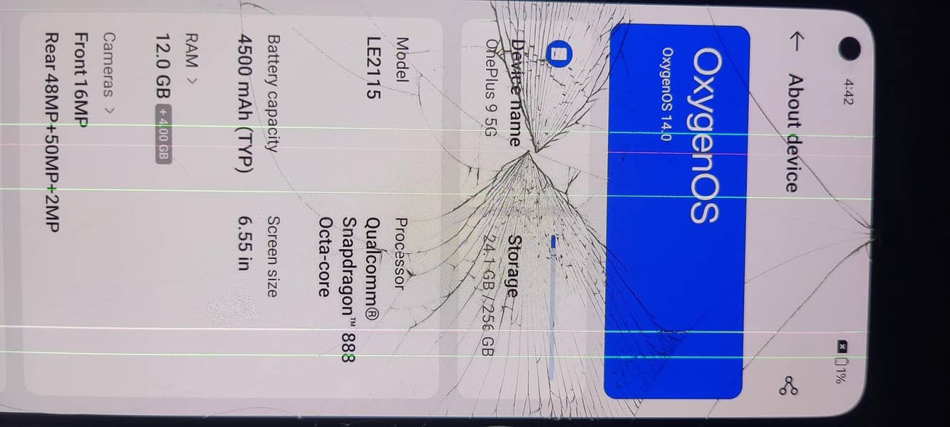 One Plus 9/12+12/256 10