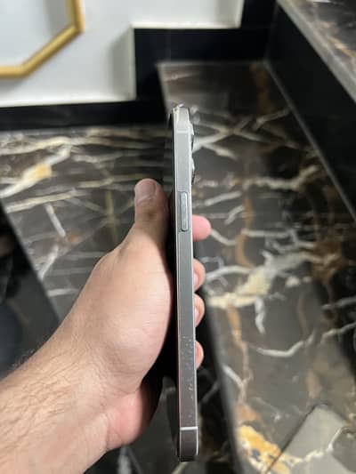 12 pro max 256 gb factory