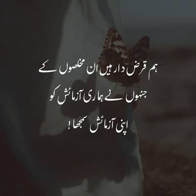 yango kay liwy gadi chahy