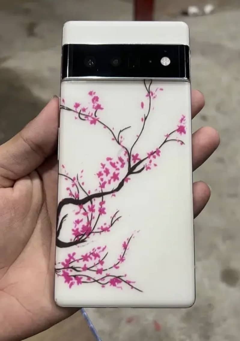 Google Pixel 6 Pro 1