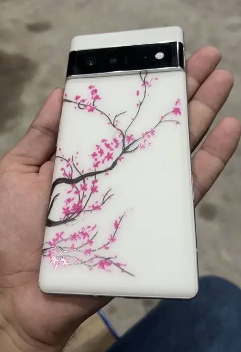 Google Pixel 6 Pro 2