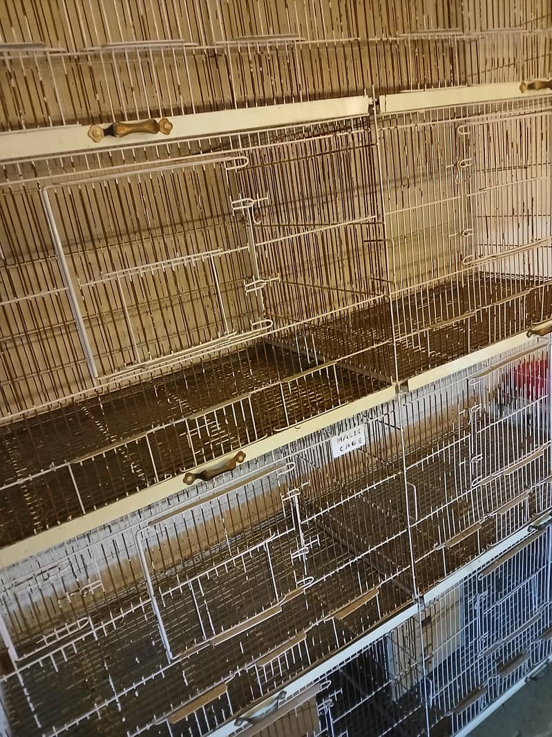 fixed cage 0